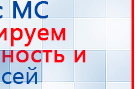 СКЭНАР-1-НТ (исполнение 01 VO) Скэнар Мастер купить в Вологде, Аппараты Скэнар купить в Вологде, Дэнас официальный сайт denasolm.ru